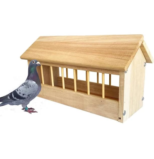 SRRPSPigeon Wooden Pigeon Feeder Food Dispenser Tool