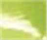 Video frame trigger