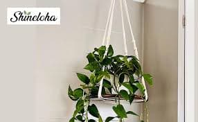 Amazon.com: Shineloha 2 Pack Macrame Plant Hanger | Plant Hanger Indoor, Hanging Planter Shelf | Hanging Planter (Beige) (1 Large + 1 Medium) : Patio, Lawn & Garden