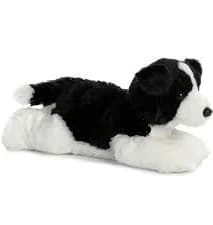 Aurora Border Collie