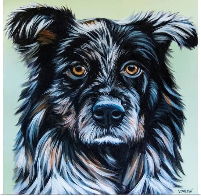 Great Big Canvas Realistic Australian Shepard Wall Art Print