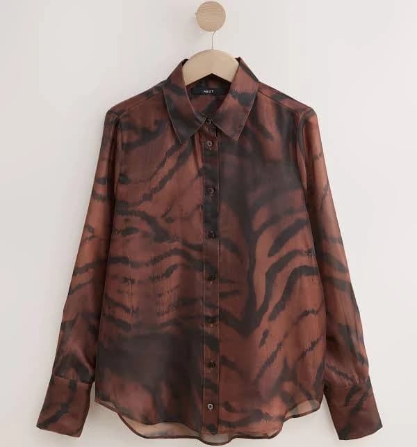 Women's Sheer Zebra Print Long Sleeve Shirt