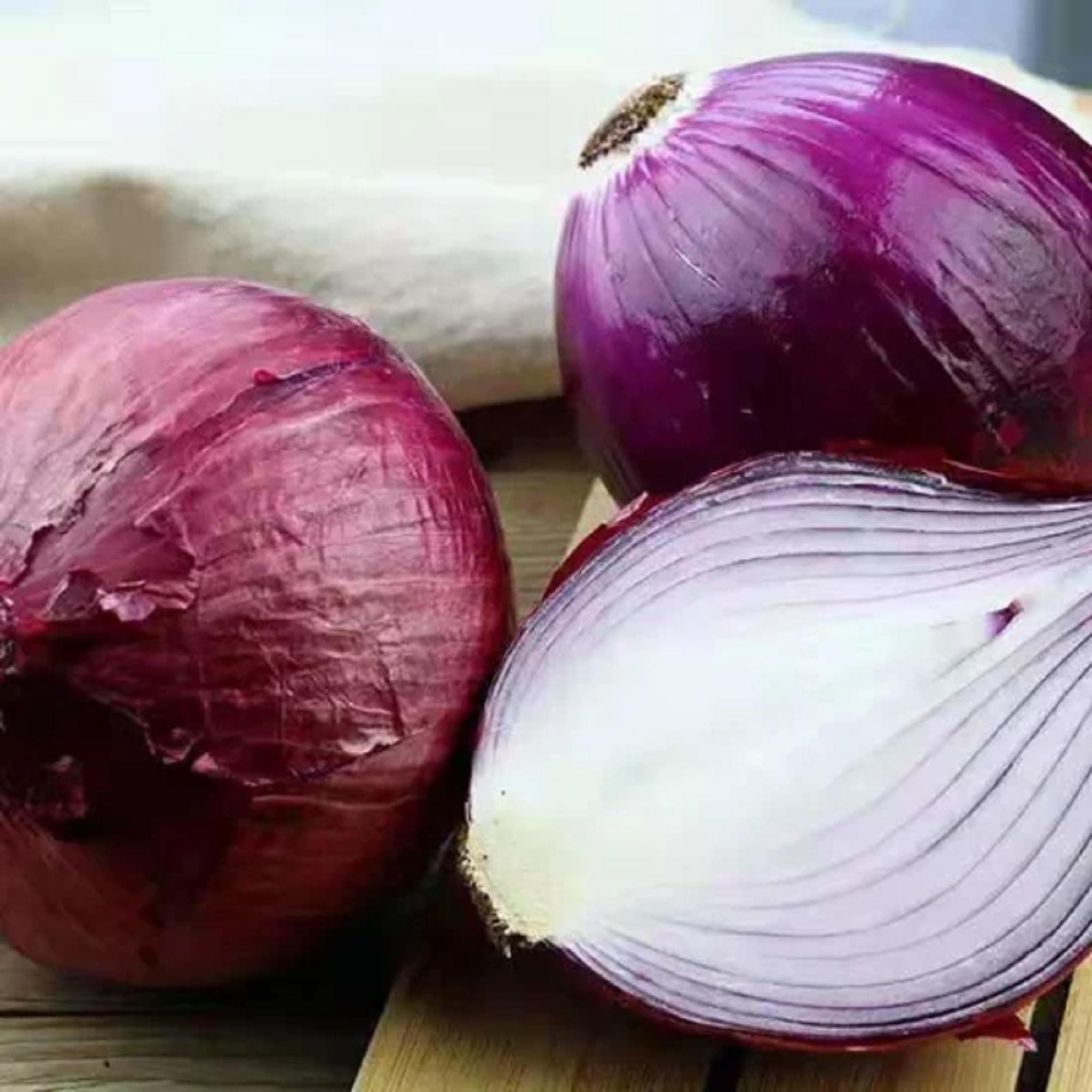 Amazon.com : CHUXAY GARDEN Red Candy Apple Onion Seed 200 Seeds Sweet Taste Flavor Onion Mild Flavor Seasoning Culinary Plants Great for Cooking : Patio, Lawn & Garden