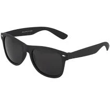 Wayfarer Men's Sunglasses