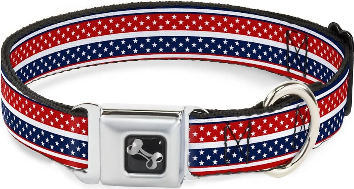 Buckle Down Americana Stripe Dog Collar