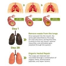 1-5X BreathDetox Lung Health - Lung Cleanse & Detox For Respiratory Supports | eBay