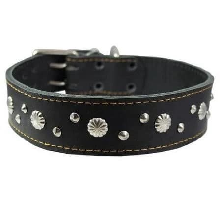Dogs My Love Thick Genuine Leather Studded Dog Collar