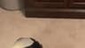 Video frame trigger