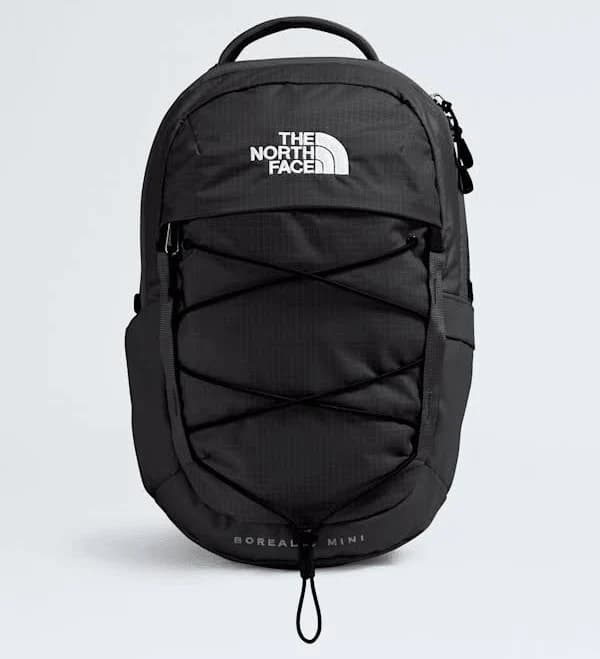 The North Face Borealis Mini Backpack