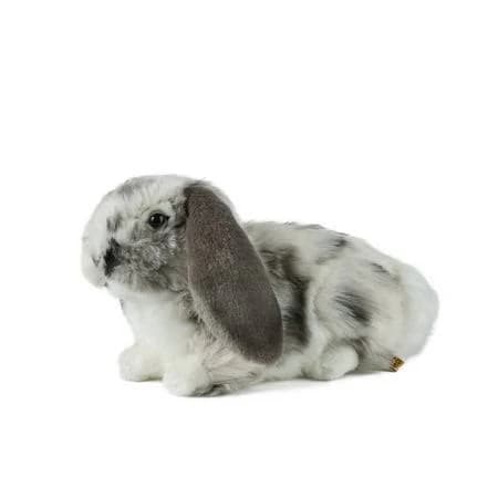 Living Nature Grey Dutch lop Eared Rabbit