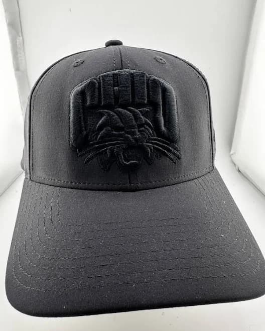 Ohio Bobcats Full Grey Baseball Cap Size Small Zephyr