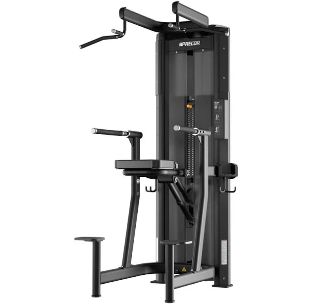 Precor Resolute Dip / Chin Assist (RMS0320), Black / Black