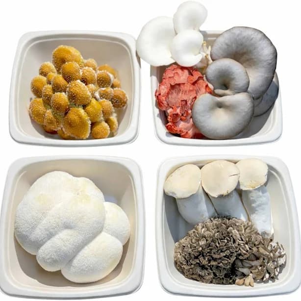 Premium Fresh Mushroom Mix – Small Batch, Chef Quality