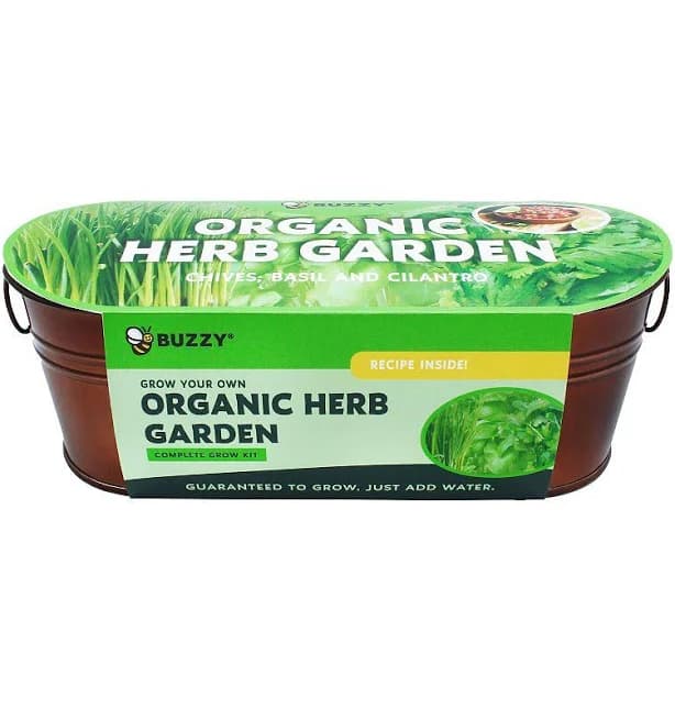 Buzzy Seeds Windowsill Herb Garden Grow Kit