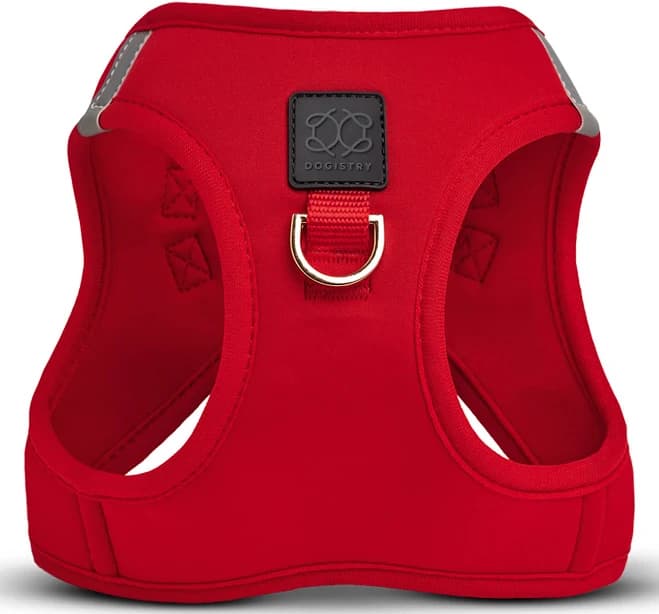 dogistry SoHo Dog Harness Iconic