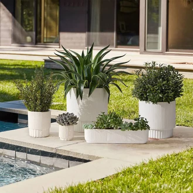 west elm Fluted Ceramic Indoor/Outdoor Tabletop Planter
