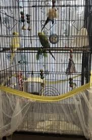Bird Cage Pocket Seed Catcher Skirt Mesh Tulle XL Cir Max 80” Circumference | eBay