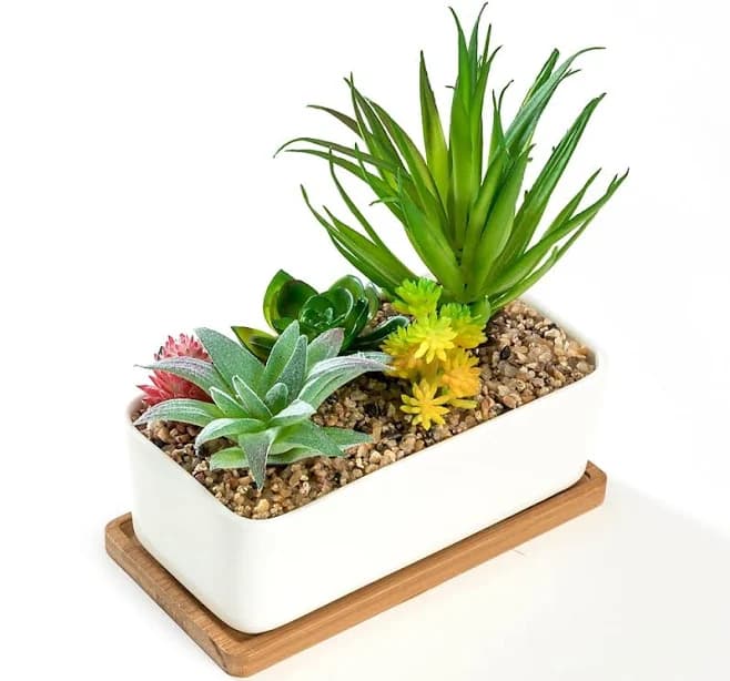 K-cliffs White Rectangular Ceramic Succulent Planter Pot with Bamboo Saucer