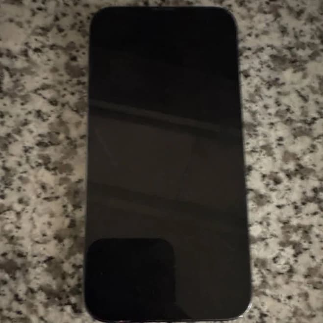 Apple Iphone 13 Pro Silver Bar Style Smartphone With Triple Camera