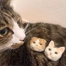 Handmade Custom Felted Pet Wedding Accessories – Paint Your Pet