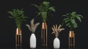 ArtStation - Indoor Plant collection vol_01 | Resources