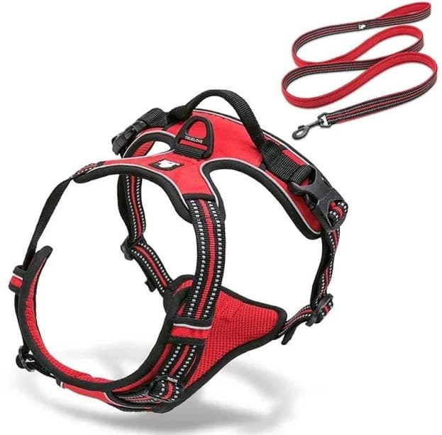 cucciolo & cavallo Collodi Harness & Leash Set