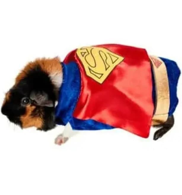 DC Comics Superman Pet Costume