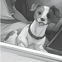 Amazon.com: Most Valuable Puppy (Doggie Daycare): 9781631633409: Carol Kim, Felia Hanakata, Felia Hanakata: Books