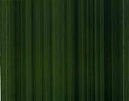 Loonypark – Straw Andy – CD (Album, Stereo), 2011 [r7229951] | Discogs