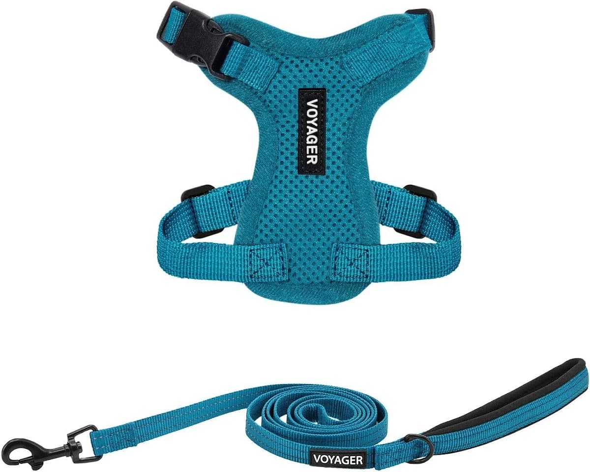 Voyage Step-in Lock Cat Harness & Leash Set