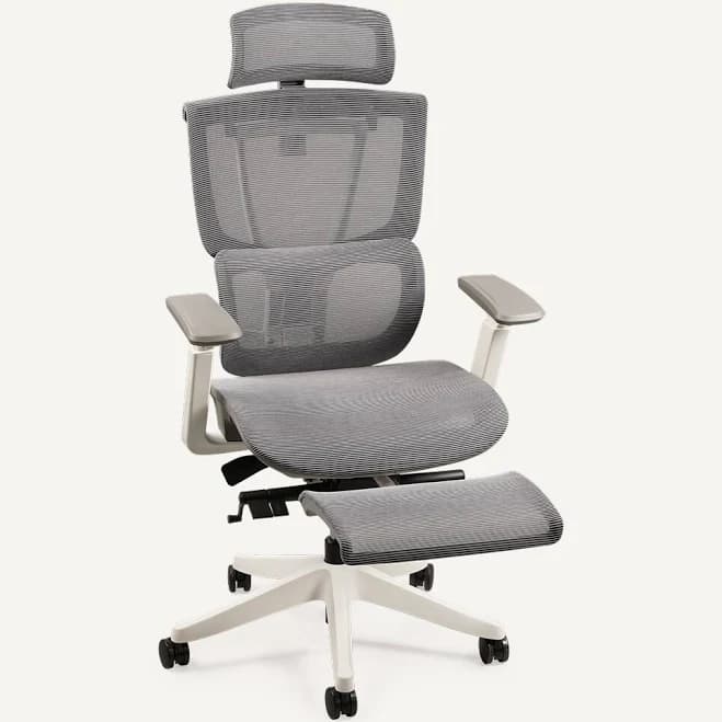 FlexiSpot C7 Ergonomic Mesh High-Back Office Chair c7b