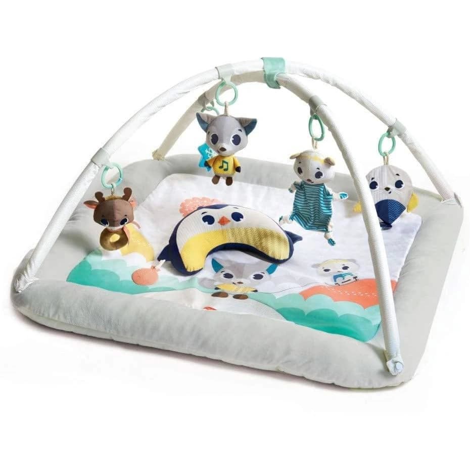 Tiny Love Polar Wonders Plush Gymini Infant Activity Play Mat