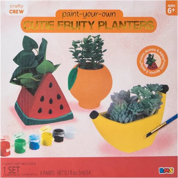 Paint Your Own Planters Kit