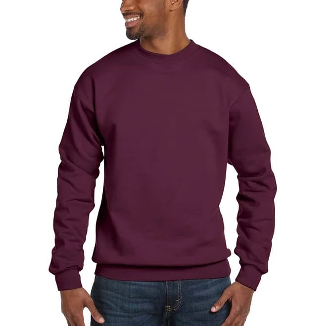 Ecosmart Crewneck Sweatshirt Hanes