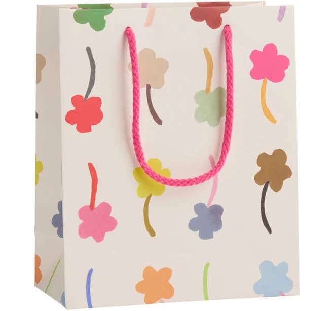 World Market Red Cap Medium Gift Bag