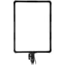 Video frame trigger
