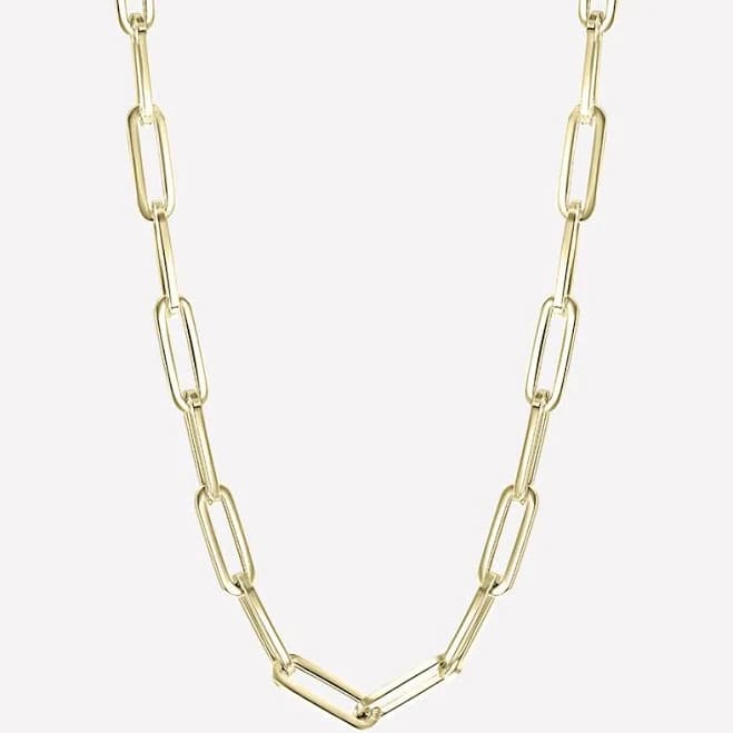 Liz Thick Chain Necklace