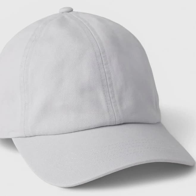 Mens Gap Blue Adult Organic Cotton Baseball Hat