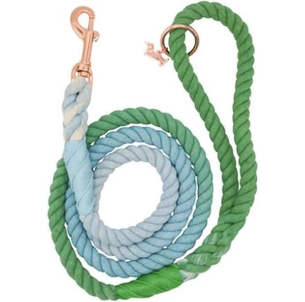 Sassy Woof Minty Dog Rope Leash