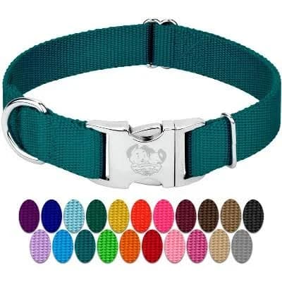 Country Brook Petz Premium Nylon Dog Collar