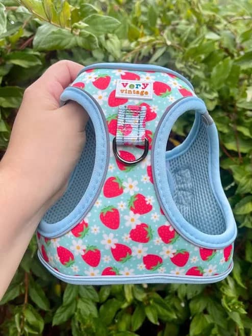 Strawberry & Daisy No Pull Vest Dog Harness