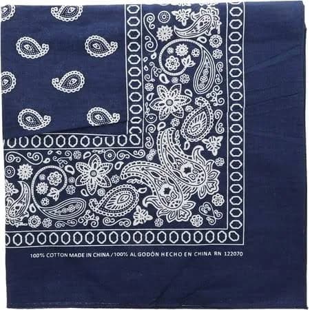 Paisley Bandana