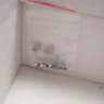 Video frame trigger
