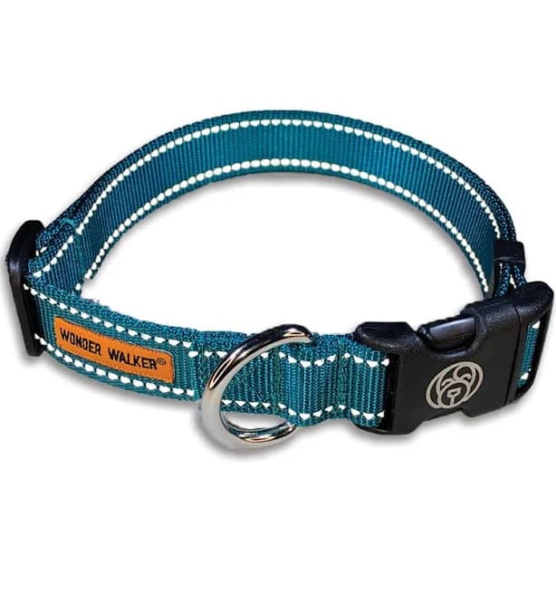 Collars - Flash Reflective Small | Fits 10-15" | 5/8" Webbing / Teal