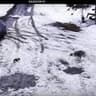 Video frame trigger