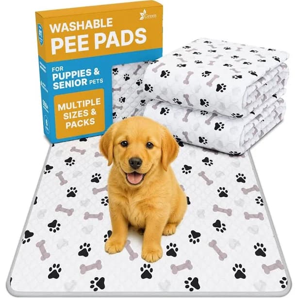 Green Lifestyle Printed Reusable Cat & Dog Pee Pads