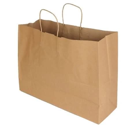 SSWBasics Kraft Paper Shopping Bag