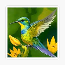 Hummingbird Sylph-de-cauda-violeta (Aglaiocercus coelestis)#1" Sticker for Sale by BevLav | Redbubble