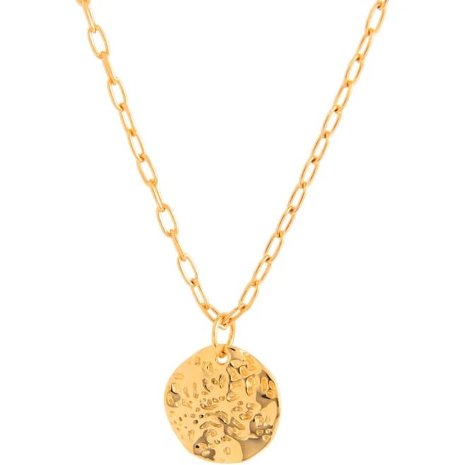 Belinda Sterling Silver Women's Gold Camila Textured Coin Pendant Necklace
