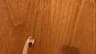 Video frame trigger